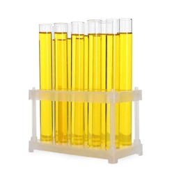 Photo of Many test tubes with yellow liquid in stand isolated on white