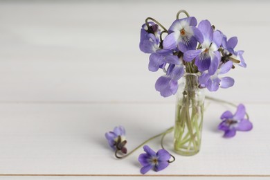 Beautiful wild violets on white wooden table, space for text. Spring flowers