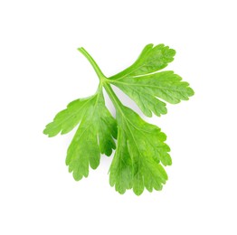 Photo of Sprig of fresh green parsley leaves isolated on white, above view