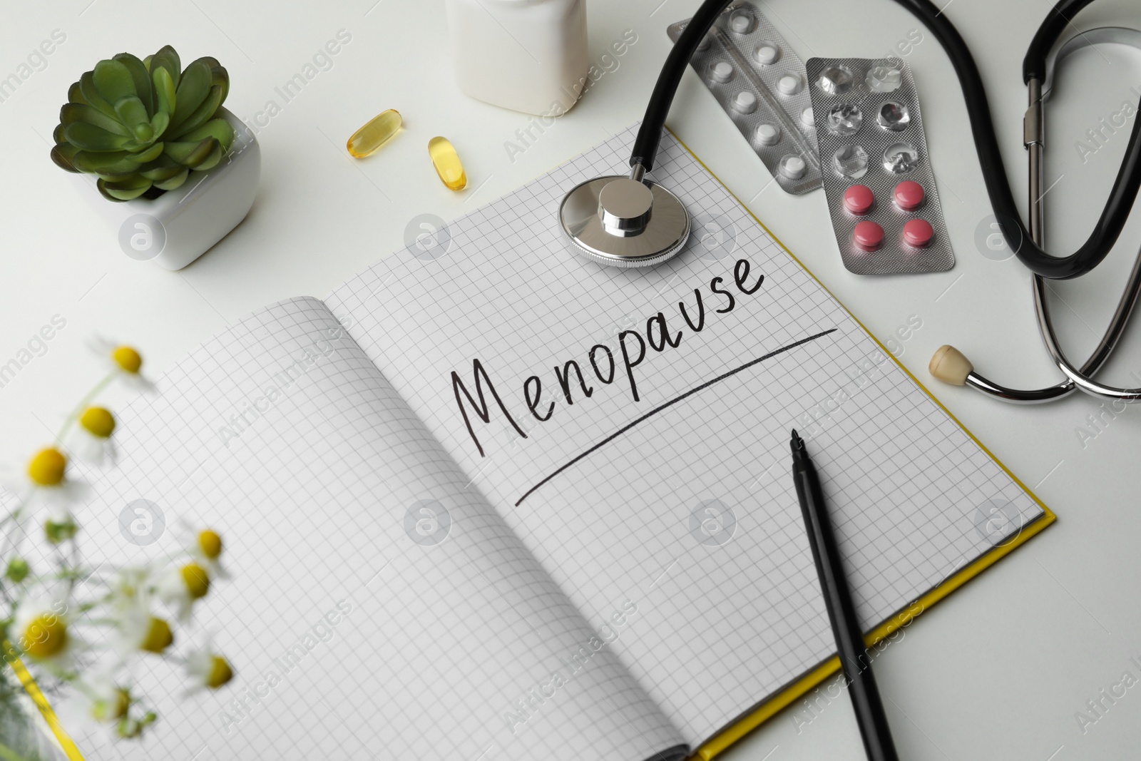 Photo of Notebook with word Menopause, stethoscope, pills and houseplant on white background, closeup