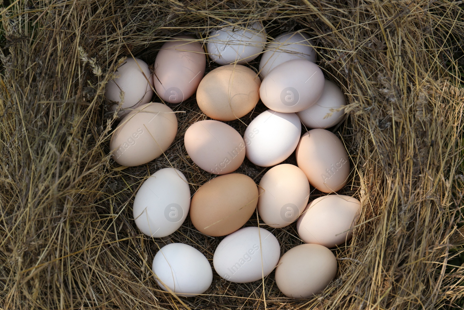 Photo of Fresh raw eggs in nest, top view