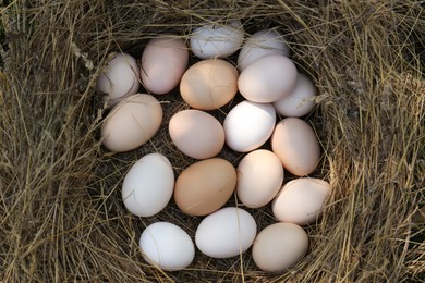 Photo of Fresh raw eggs in nest, top view