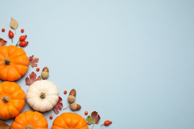 Photo of Different pumpkins, autumn leaves, berries and acorns on light blue background, flat lay. Space for text