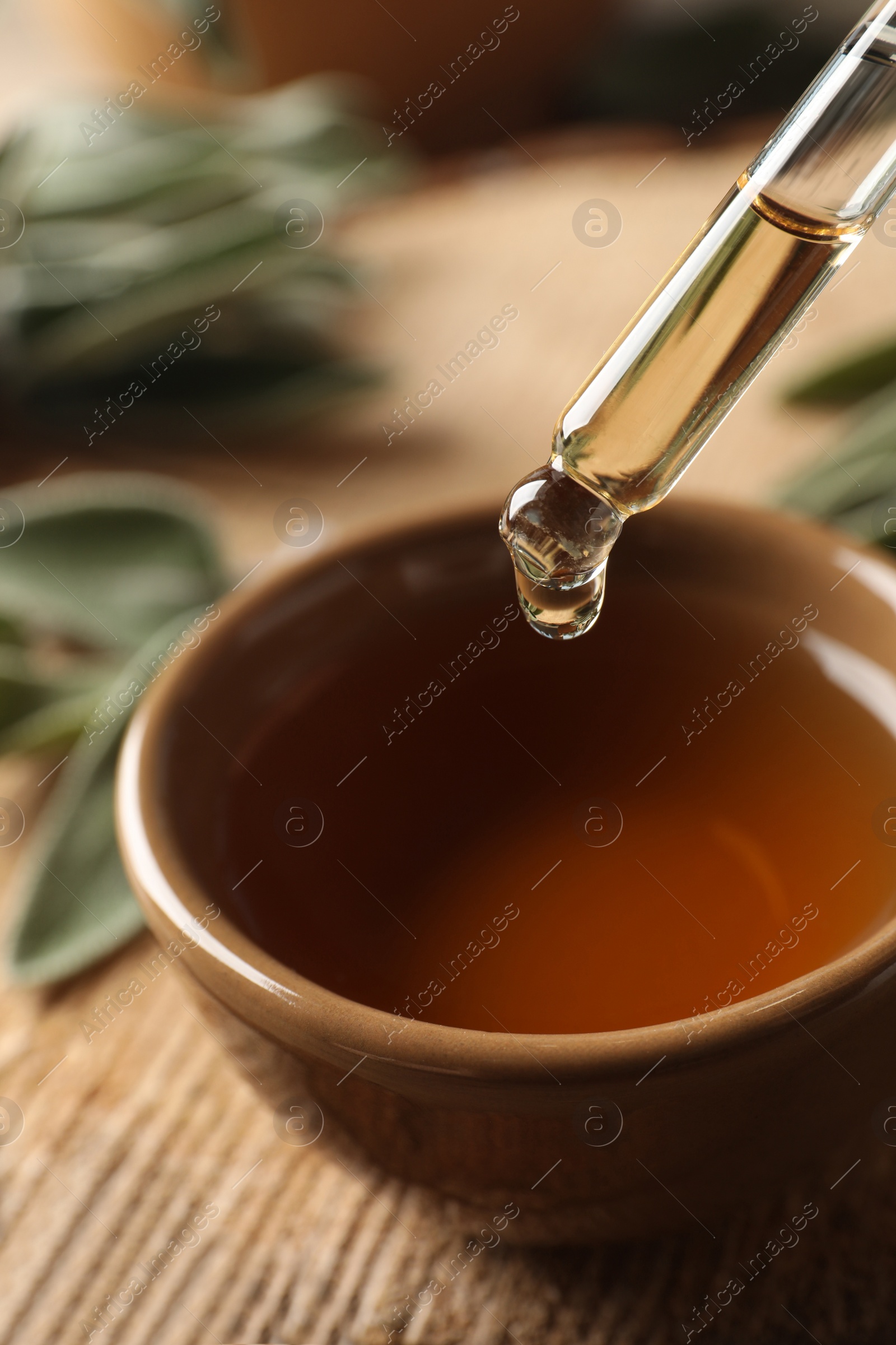 Photo of Dropping essential sage oil into bowl on wooden table, closeup