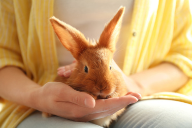 Photo of Young woman with adorable rabbit indoors, closeup. Lovely pet