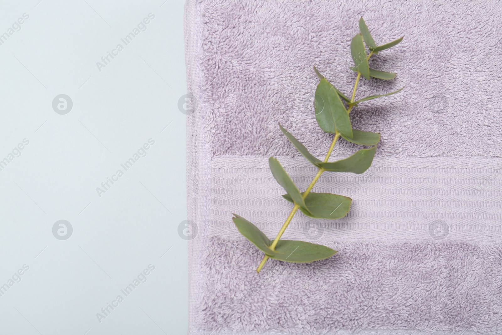 Photo of Violet terry towel and eucalyptus branch on light grey background, top view. Space for text