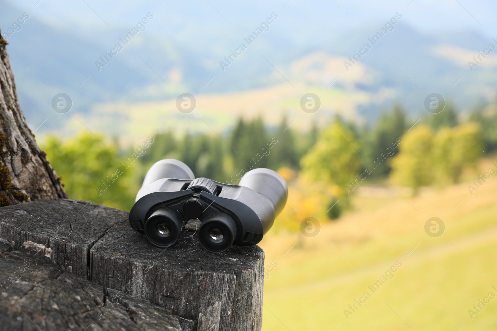 Photo of Modern binoculars on tree stump outdoors, space for text