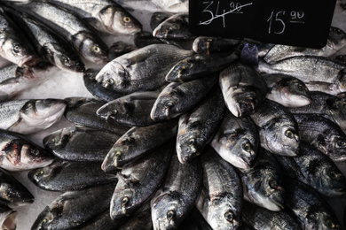Photo of Fresh raw fish on ice in supermarket, closeup
