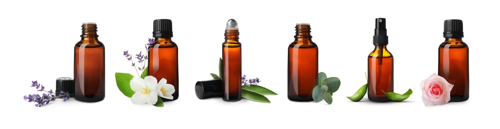 Image of Set of different essential oils in bottles and ingredients on white background