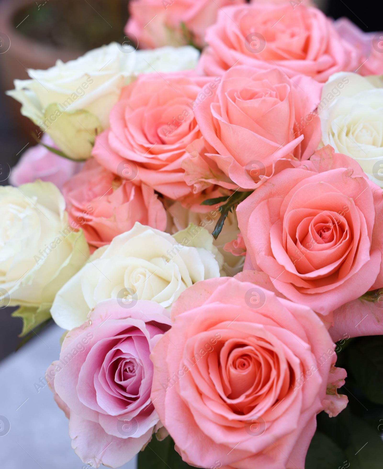 Photo of Beautiful bouquet of aromatic roses outdoors, closeup