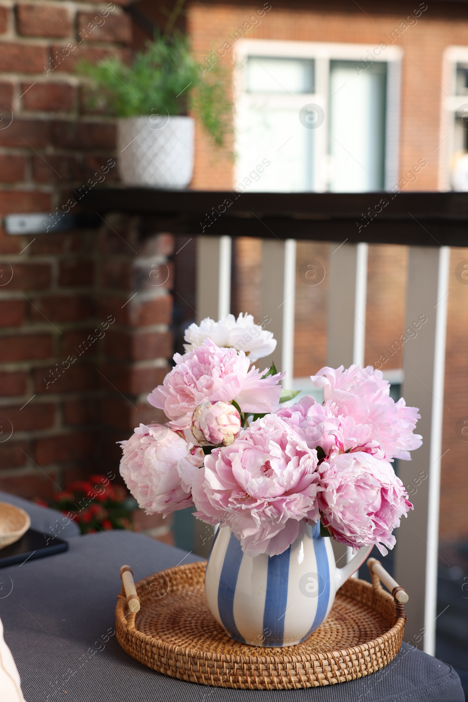 Photo of Beautiful pink peony flowers in vase at balcony