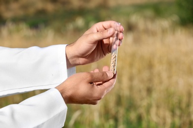 Photo of Agronomist holding test tube with wheat grains in field, closeup. Cereal farming