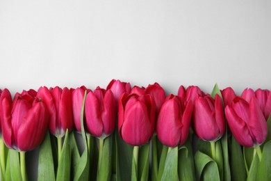 Photo of Many beautiful tulips on light grey background, flat lay. Space for text