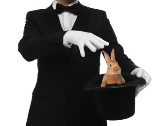 Magician showing trick with top hat and rabbit on white background, closeup