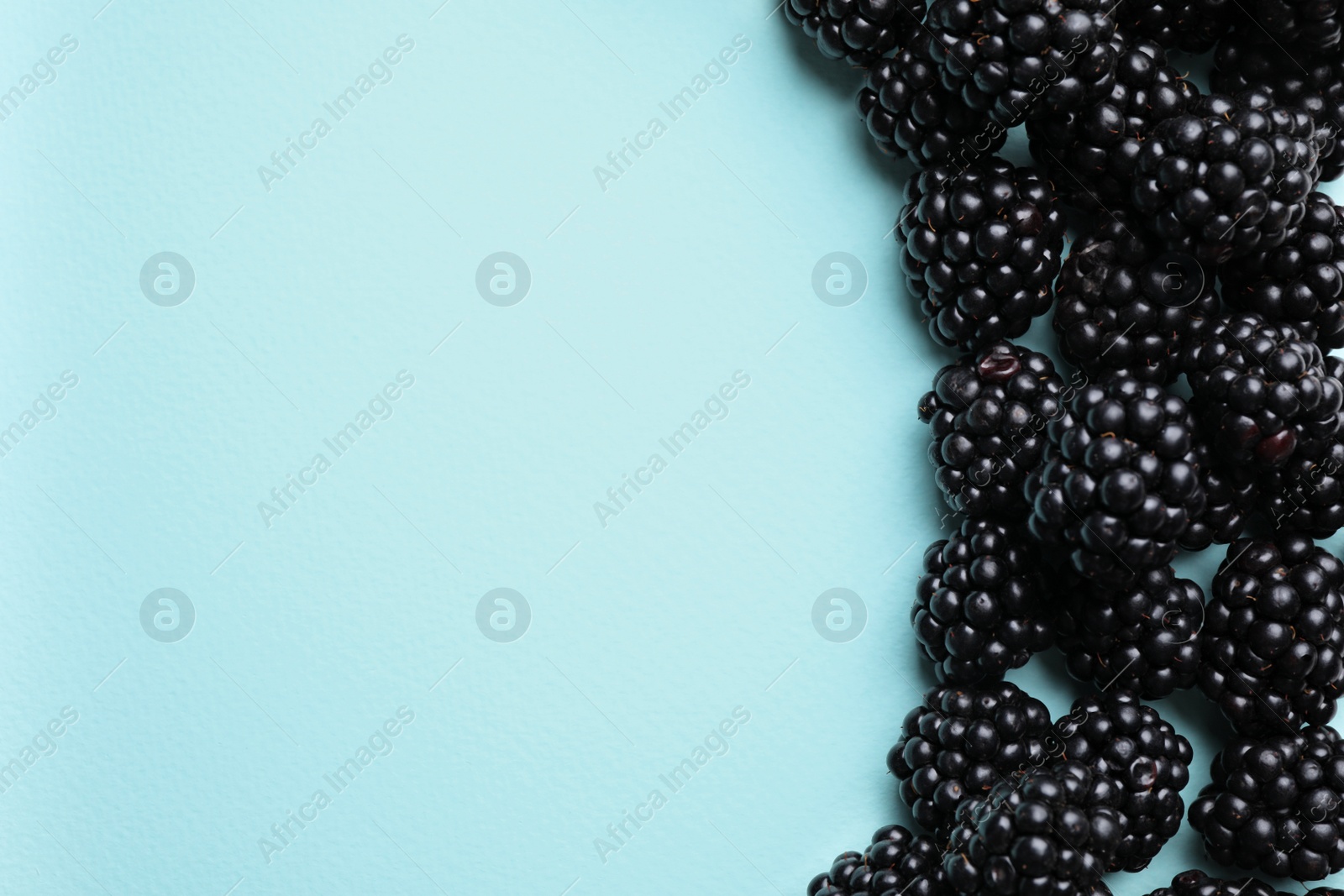 Photo of Tasty ripe blackberries on light blue background, flat lay. Space for text