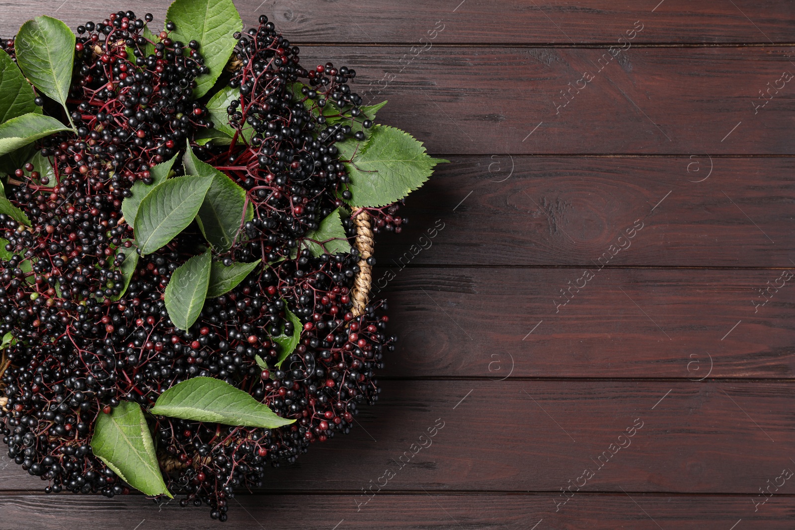 Photo of Ripe elderberries with green leaves on wooden table, top view. Space for text