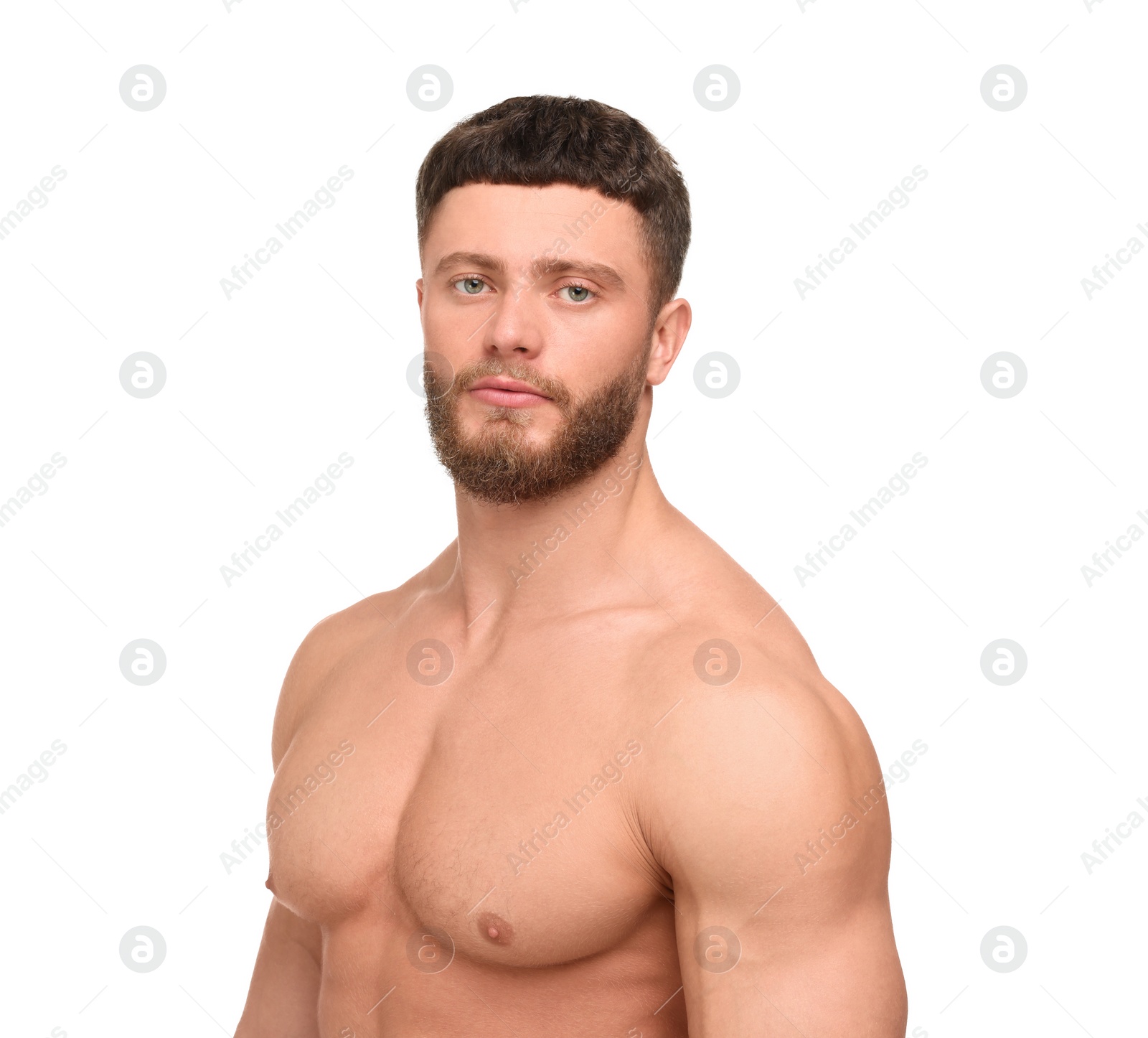 Photo of Handsome muscular man isolated on white. Sexy body