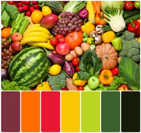 Image of Assortment of organic fresh fruits and vegetables and color palette. Collage