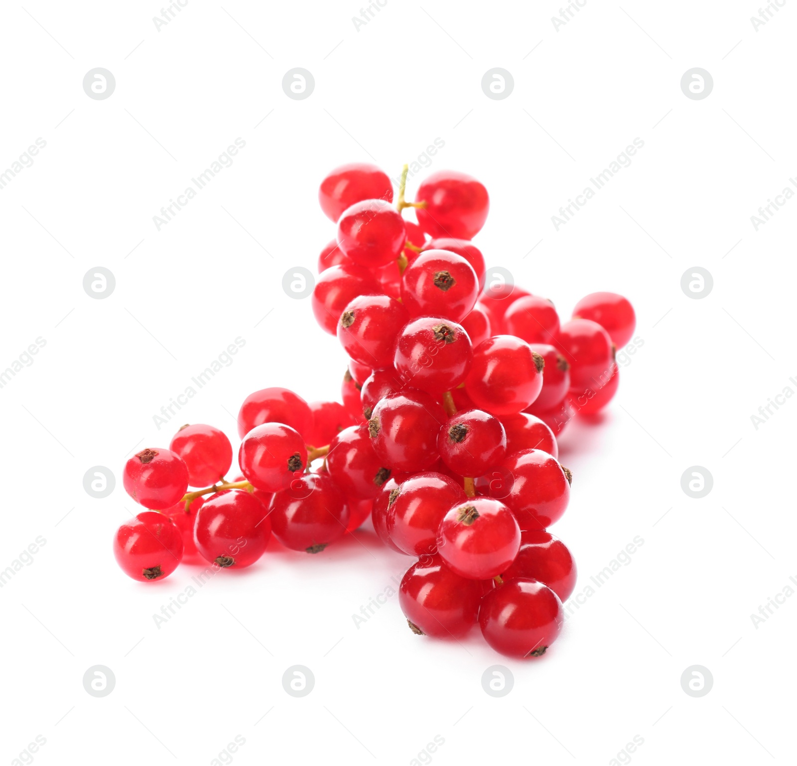 Photo of Delicious ripe red currants isolated on white