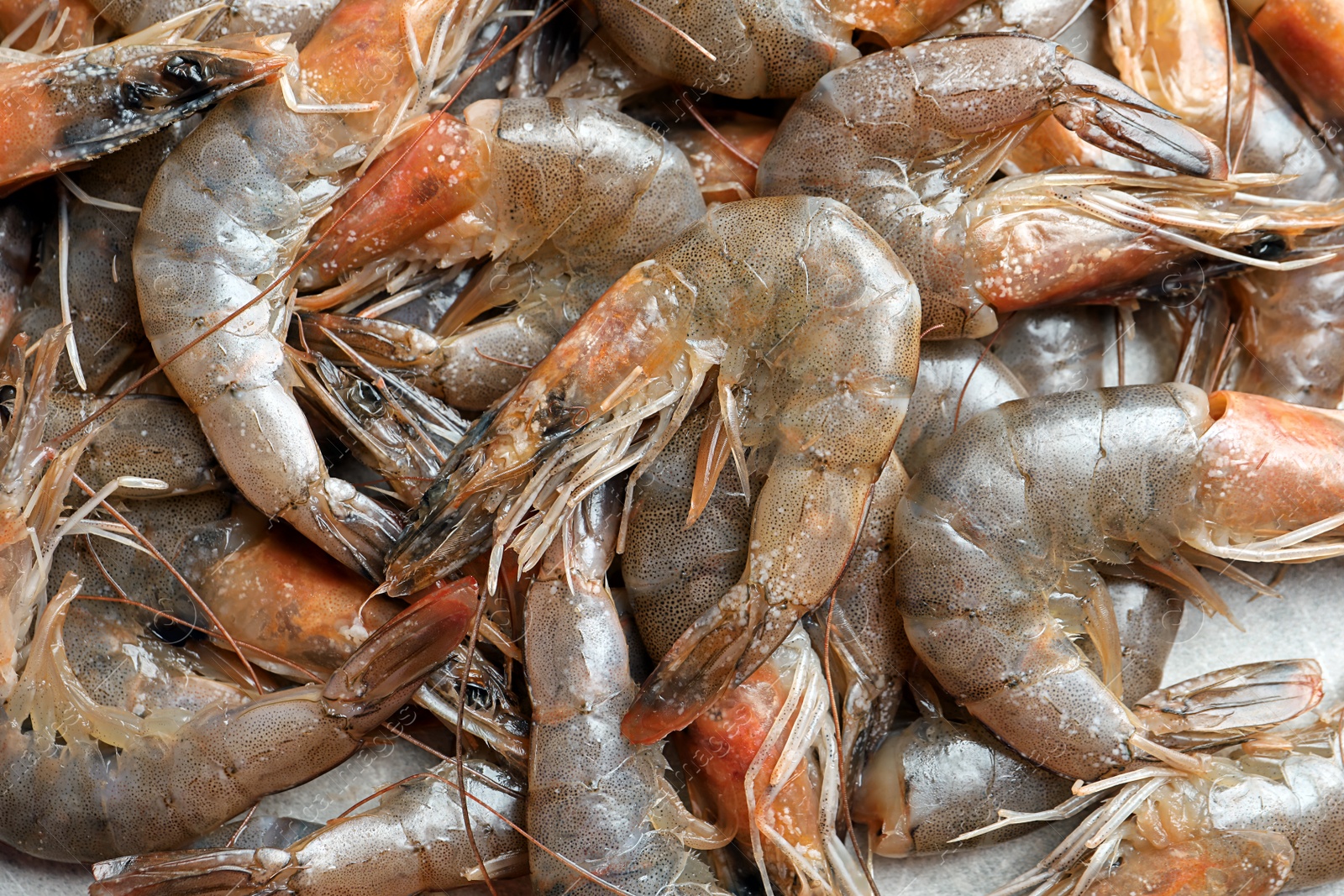 Photo of Fresh raw shrimps, closeup