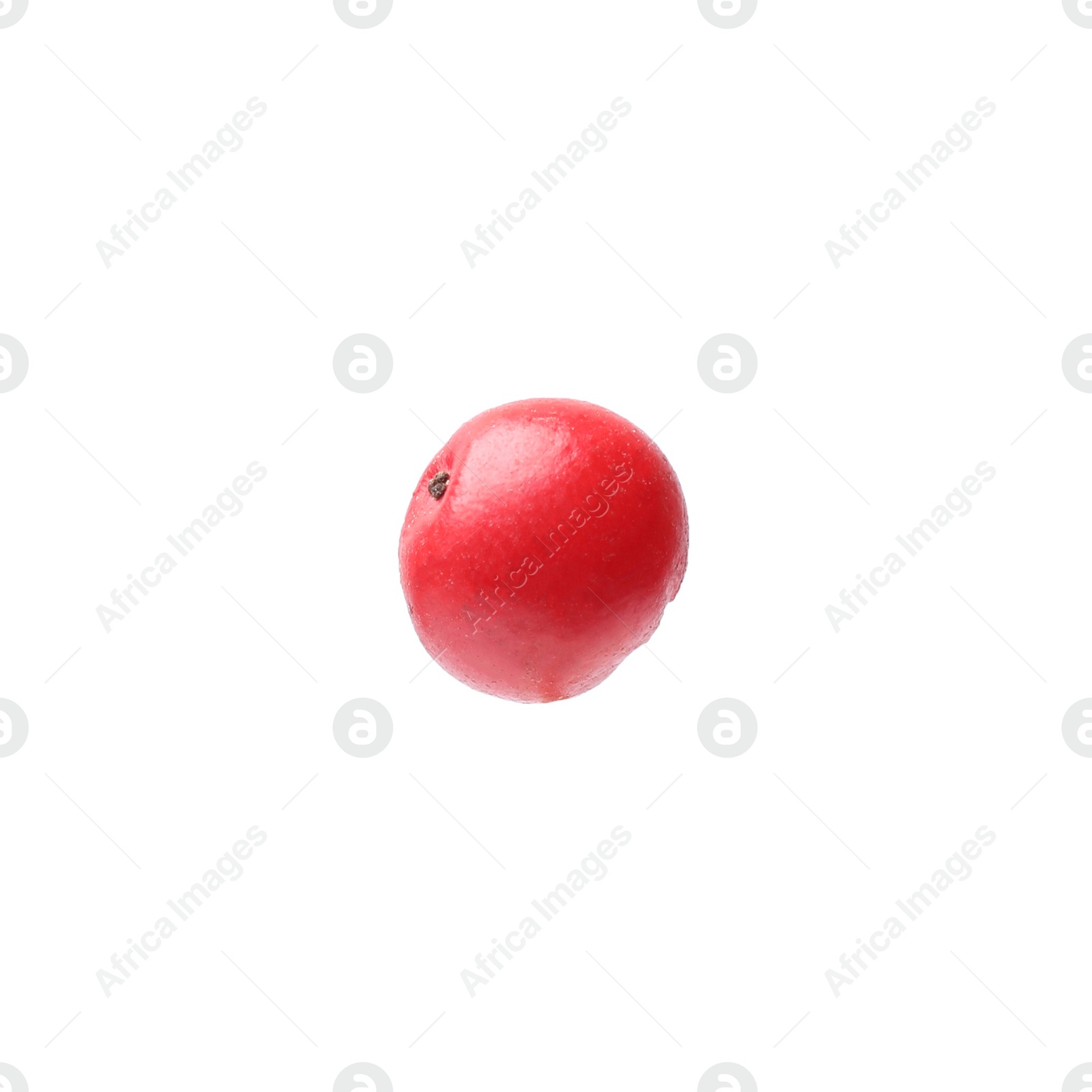 Photo of Aromatic spice. Red peppercorn isolated on white