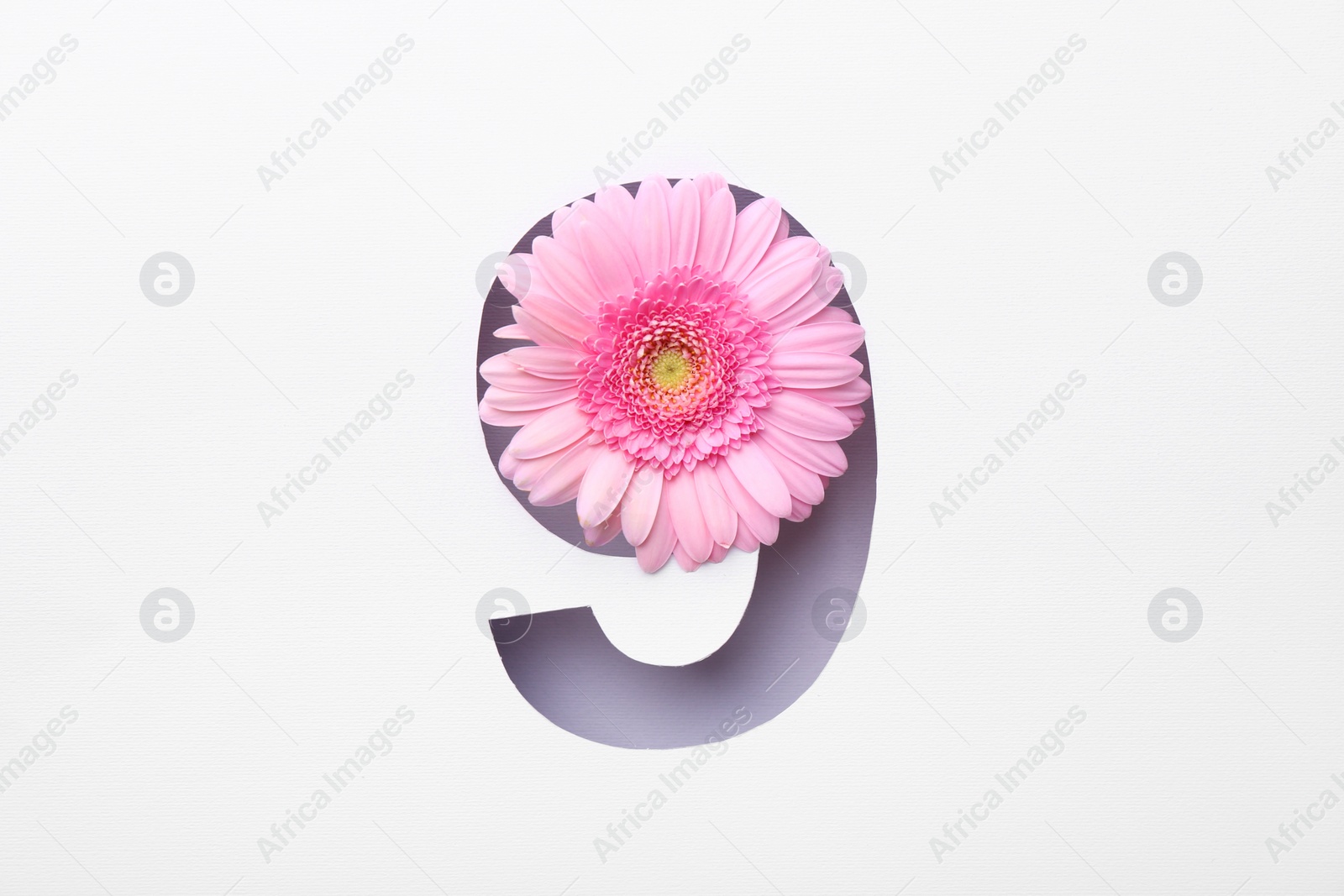 Photo of Number 9 shape hole in white paper with beautiful flower, top view