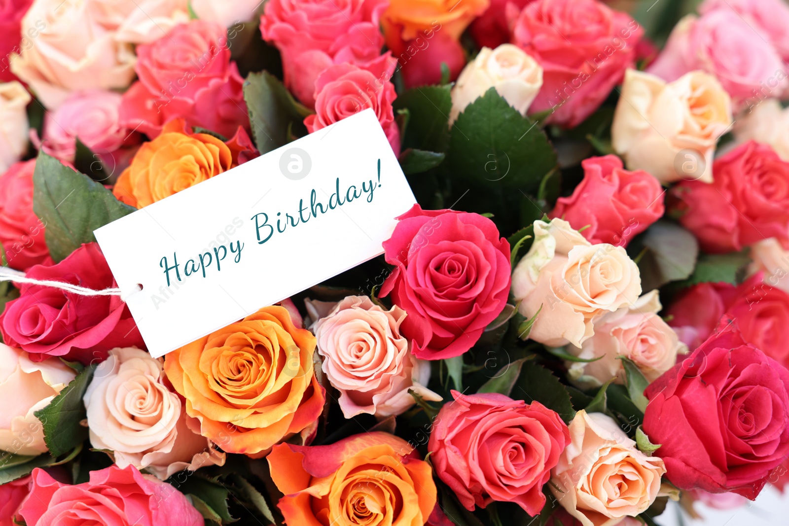 Image of Bouquet of beautiful roses with Happy Birthday card, closeup