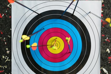 Many arrows in archery target, closeup view