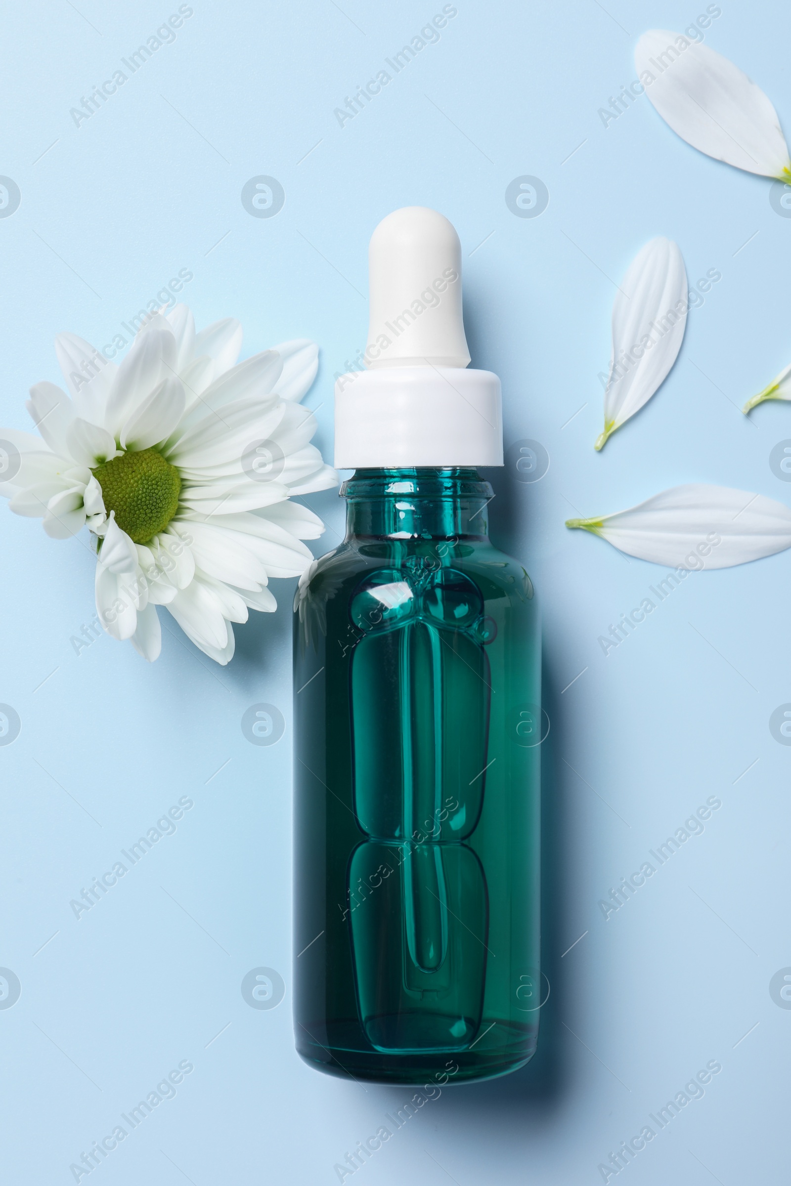 Photo of Bottle of cosmetic serum, beautiful flower and petals on light blue background, flat lay