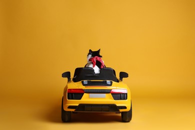 Photo of Adorable cat in toy car on yellow background, back view