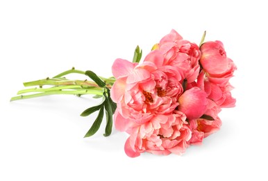 Beautiful pink peony bouquet isolated on white