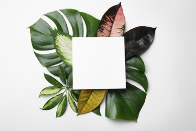 Photo of Beautiful composition with tropical leaves and blank card on white background, top view