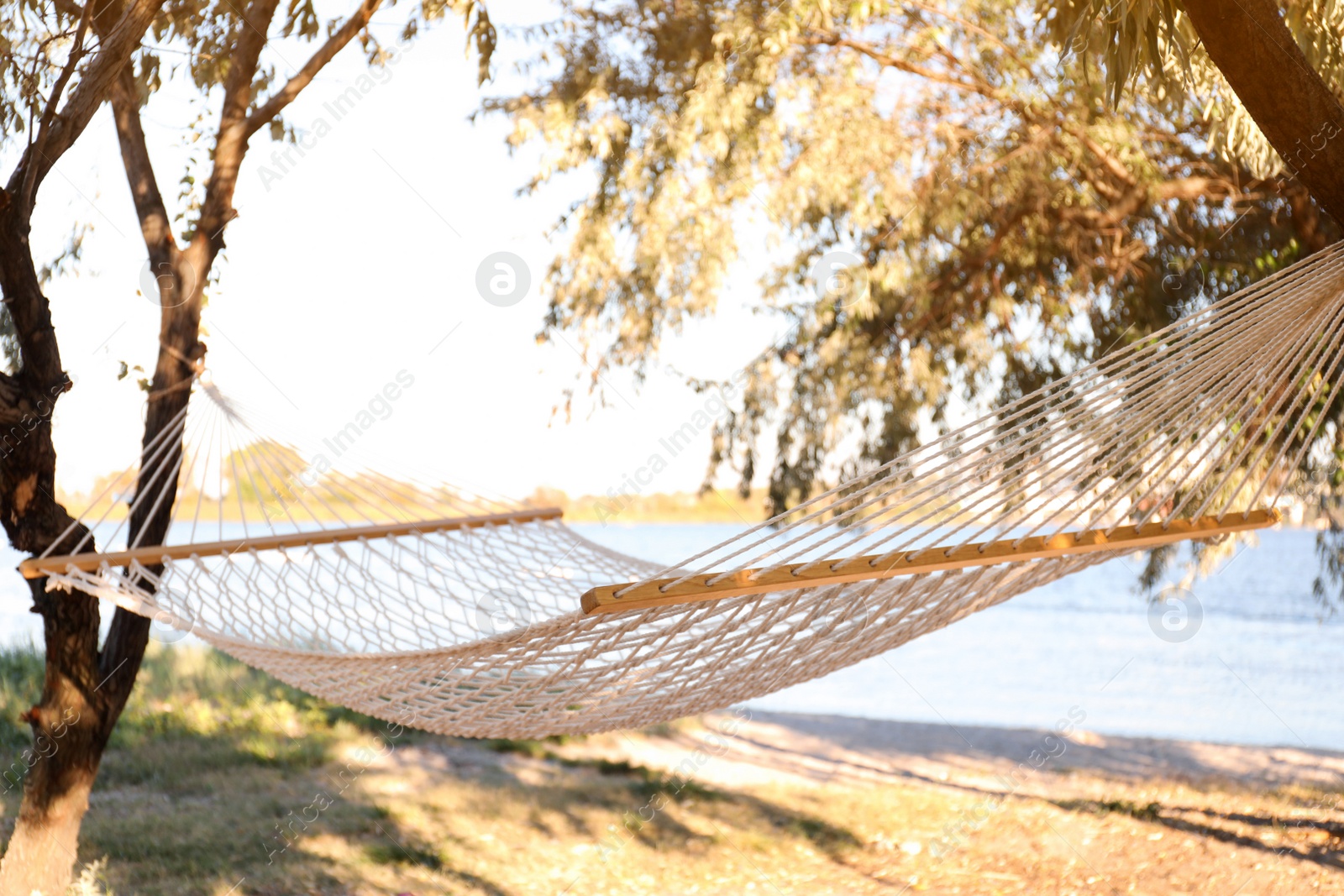 Photo of Empty comfortable hammock on beach. Summer vacation