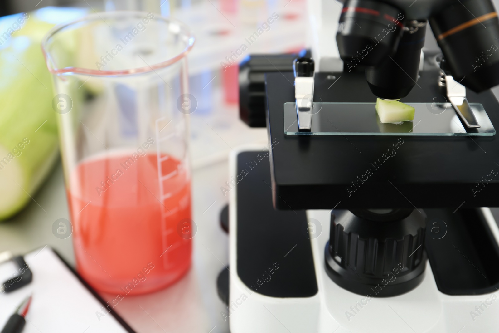 Photo of Microscope with slice of zucchini in laboratory, closeup. Food quality control