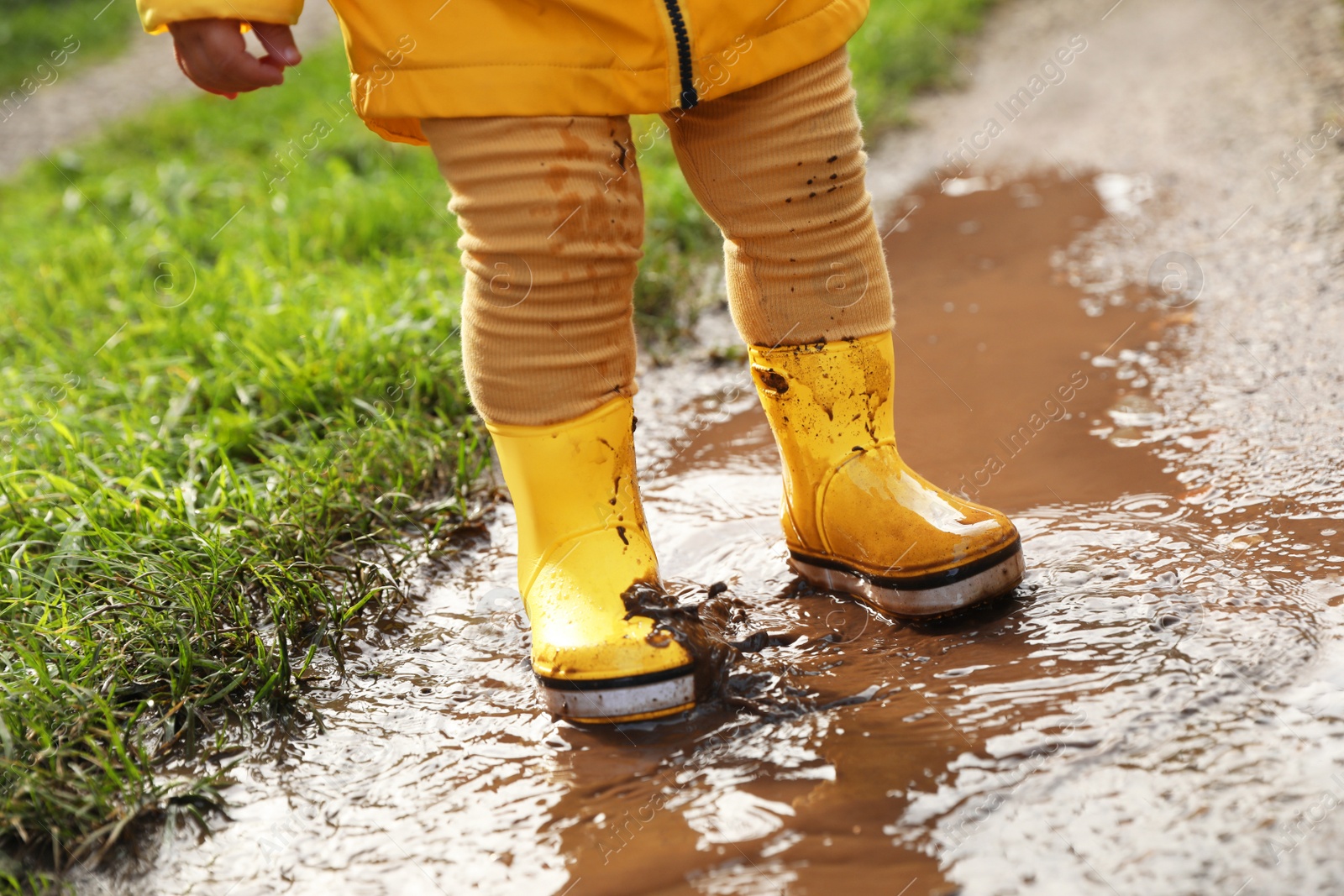 Photo of Little girl wearing rubber boots walking in puddle, closeup