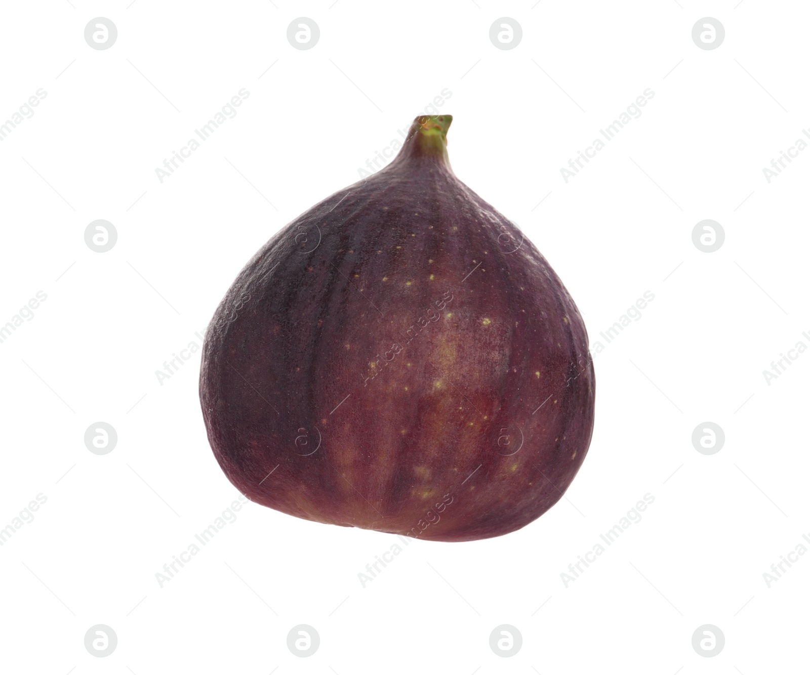 Photo of Whole ripe fresh fig isolated on white