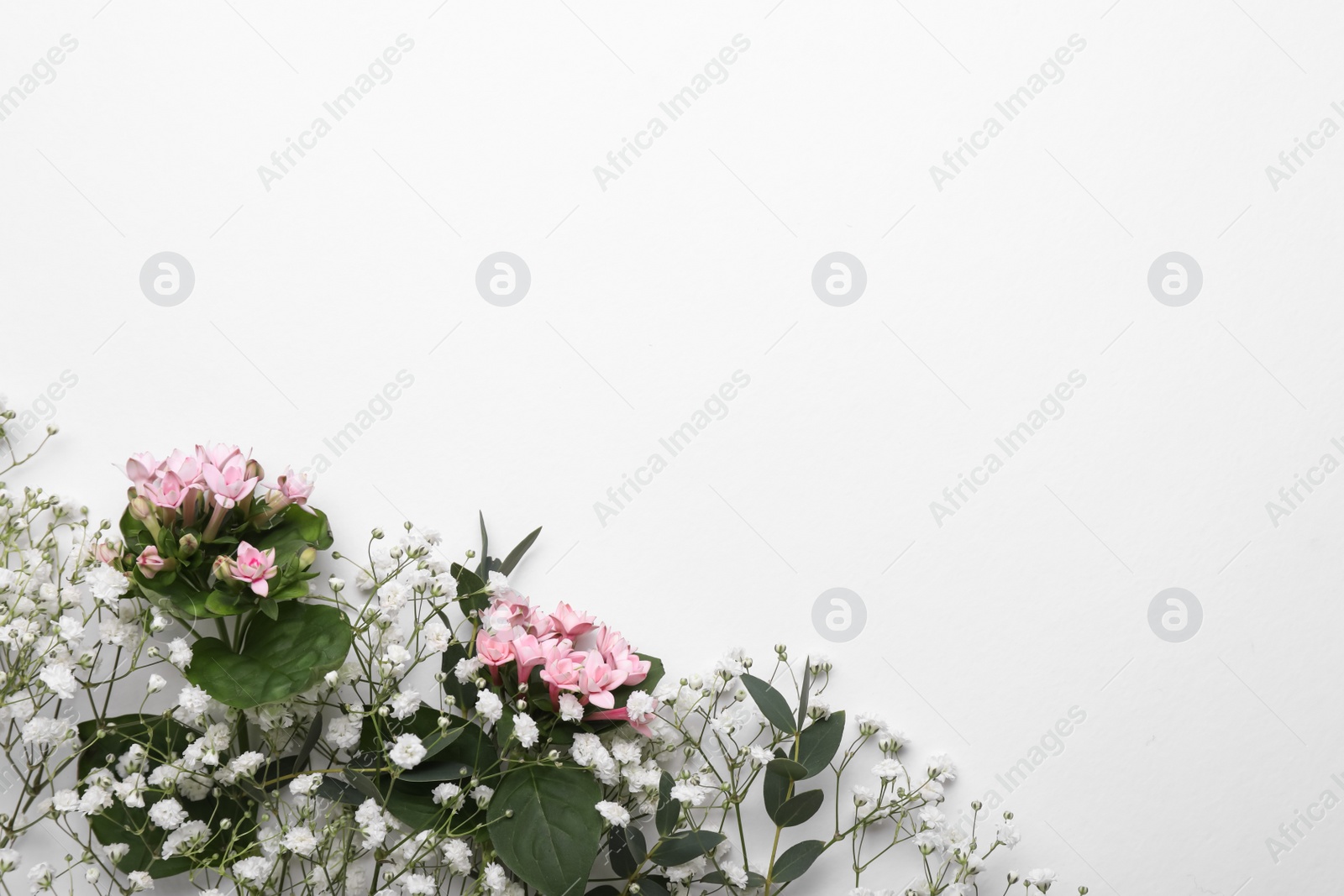Photo of Beautiful floral composition with gypsophila flowers on white background, top view. Space for text