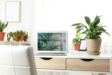 Photo of Houseplants and laptop on table in office interior