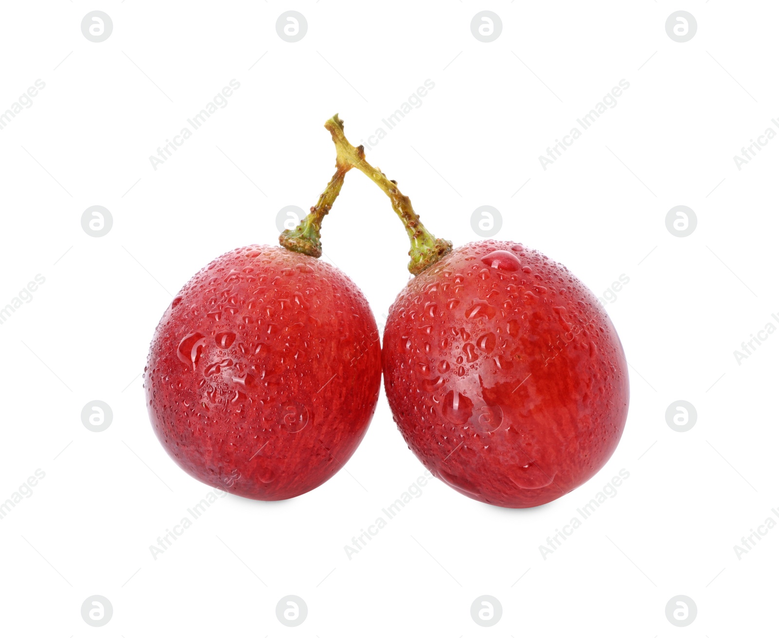 Photo of Delicious ripe red grapes with water drops isolated on white