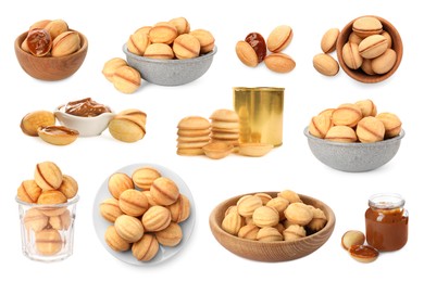 Image of Delicious nut shaped cookies with caramelized condensed milk isolated on white, collage design