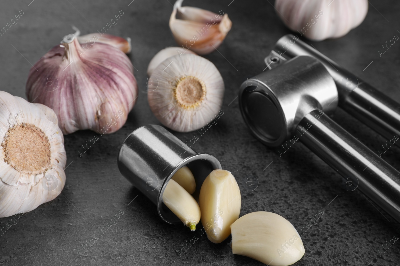 Photo of Garlic press, bulbs and cloves on grey table, closeup