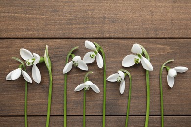 Beautiful snowdrops on wooden table, flat lay