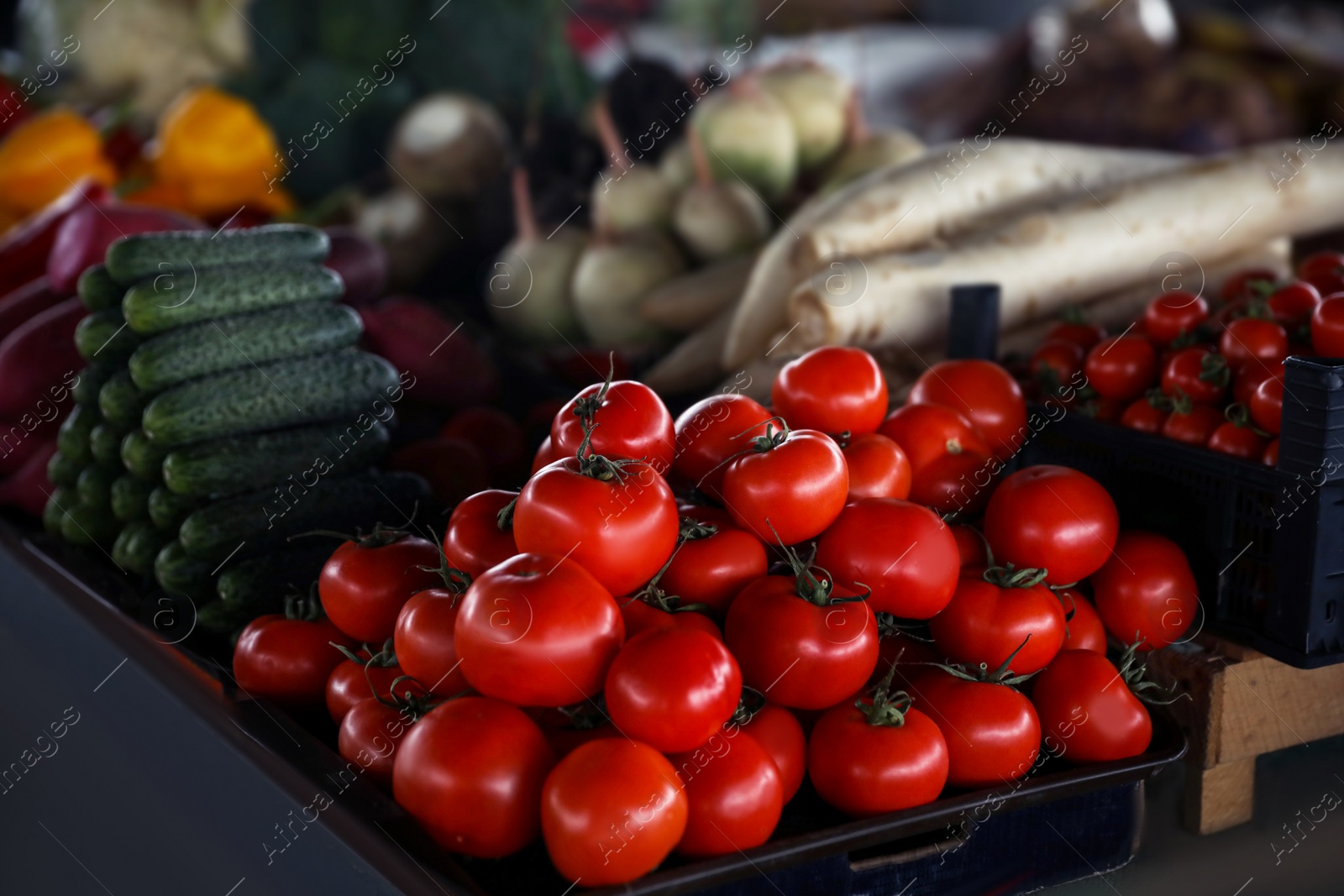 Photo of Fresh ripe vegetables on counter at wholesale market