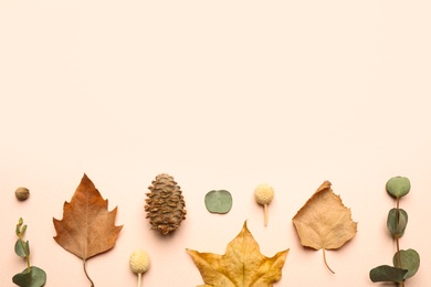 Flat lay composition with autumn leaves on light background, space for text