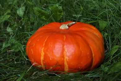 Photo of Ripe orange pumpkin among green grass outdoors, closeup