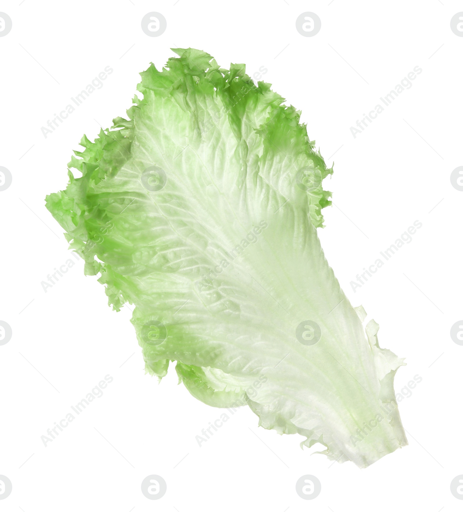 Photo of Fresh green lettuce leaf isolated on white