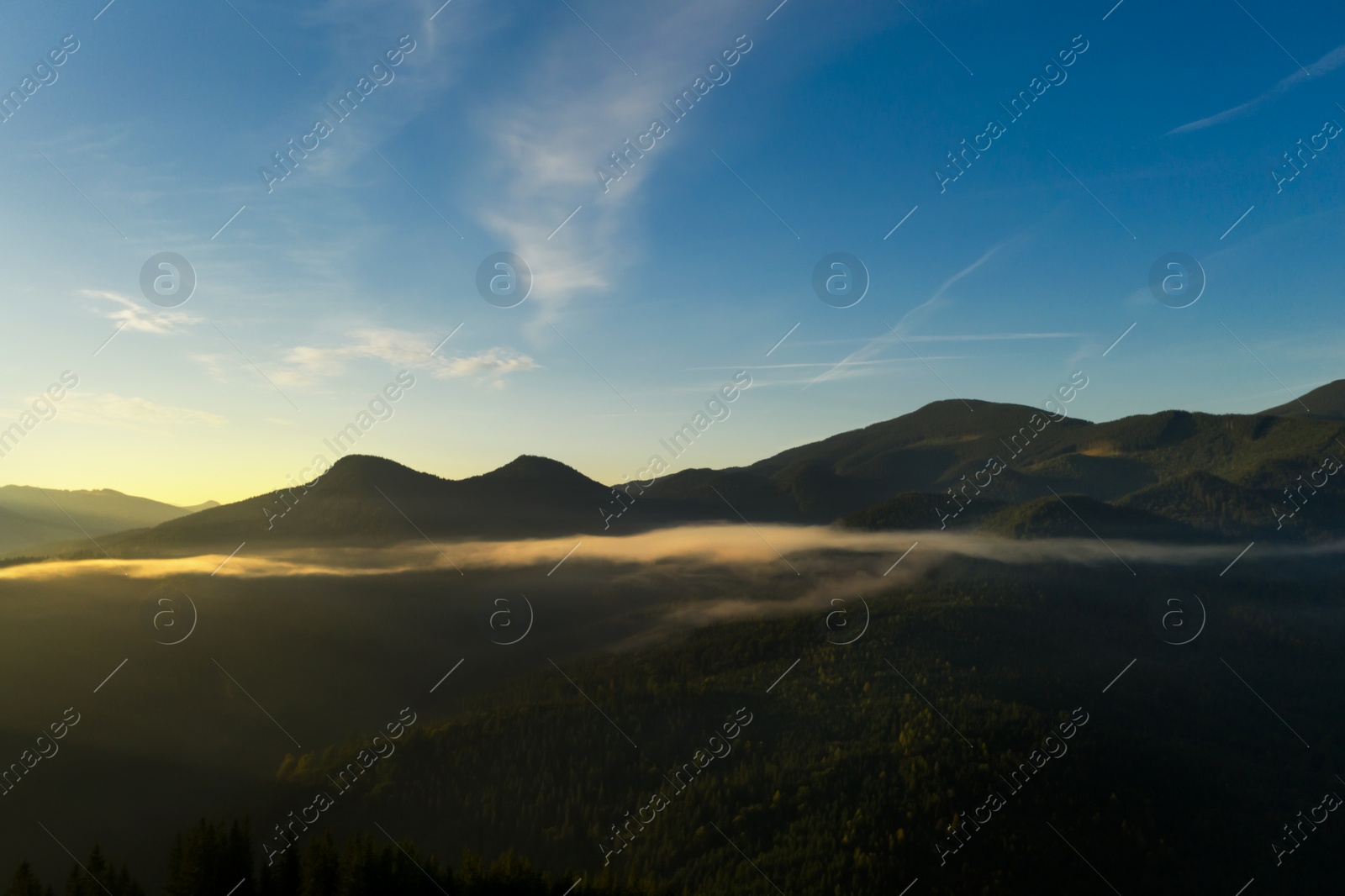 Image of Beautiful view of forest in misty mountains on sunny day. Drone photography