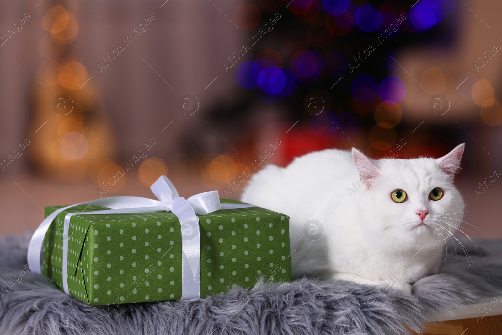 Photo of Christmas atmosphere. Cute cat lying near gift box on fur rug against blurred lights. Space for text