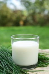 Photo of Glass of fresh milk and green grass on table