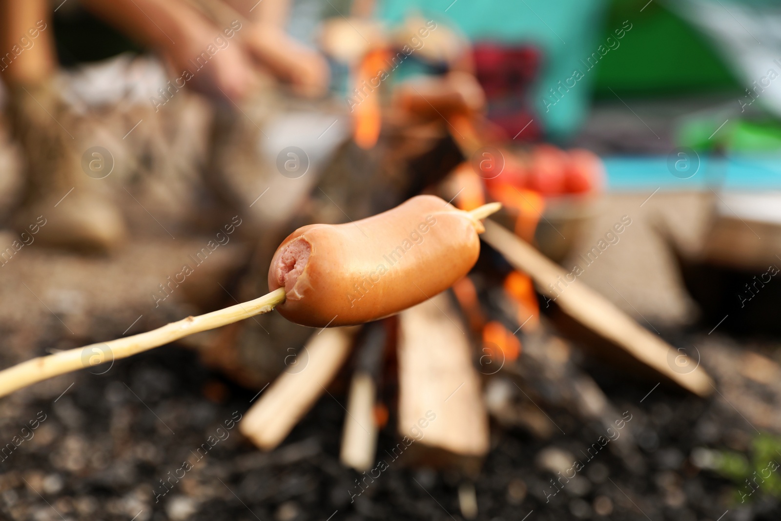 Photo of Frying sausage on bonfire outdoors. Camping season